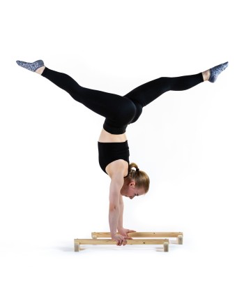 NOJA 2X  Parallettes - push up bars ouvre sa boutique